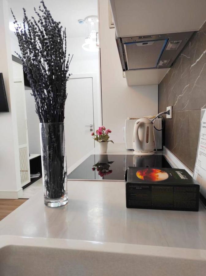 9 жк Braun: уютные у трц Mega Alma-ata Apartment Almaty